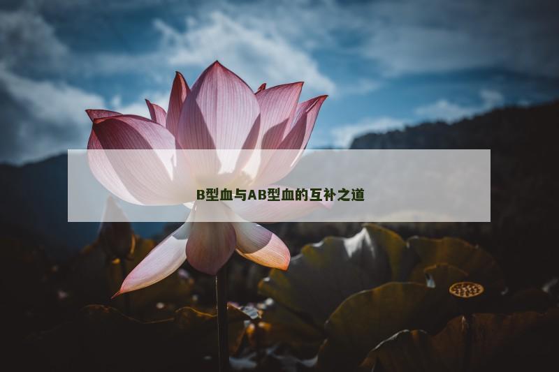 B型血与AB型血的互补之道 B型血与AB型血的互补之道