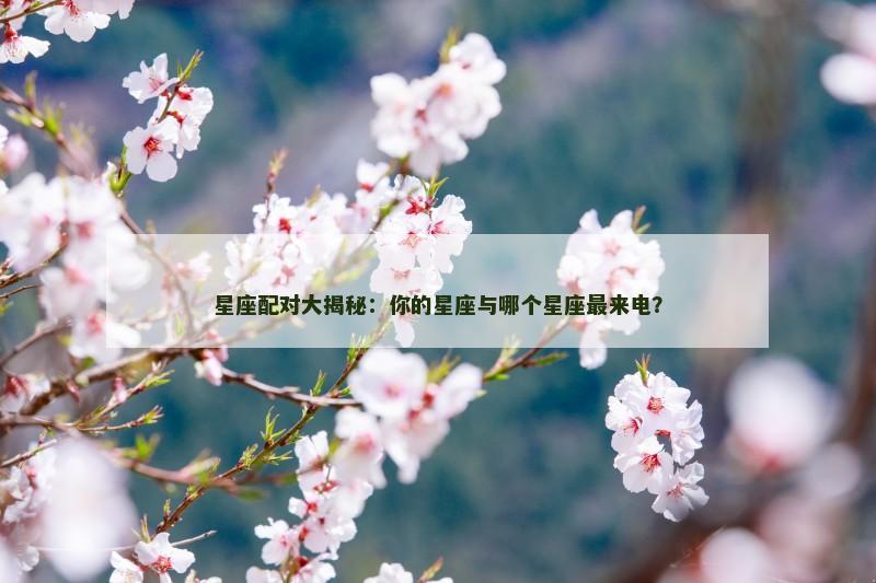 星座配对大揭秘：你的星座与哪个星座最来电？