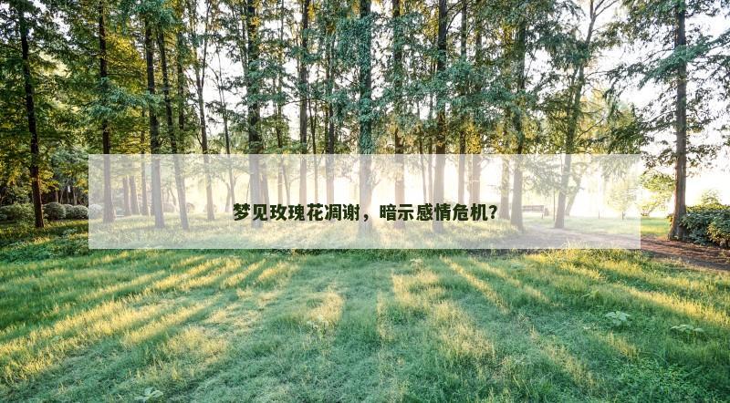 梦见玫瑰花凋谢，暗示感情危机？