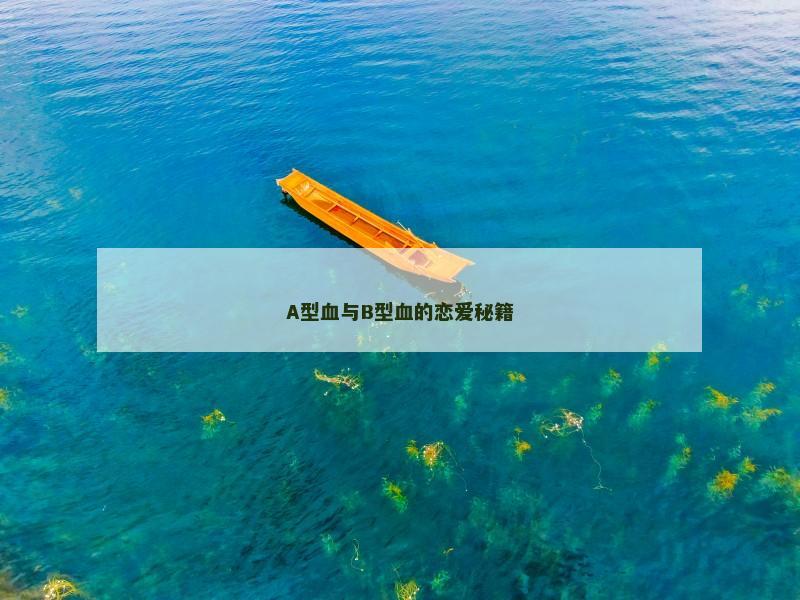 A型血与B型血的恋爱秘籍