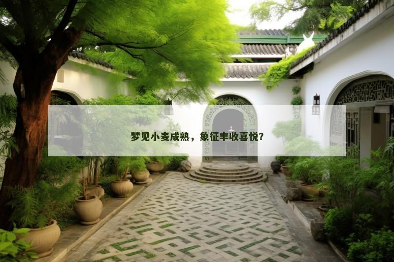 梦见小麦成熟，象征丰收喜悦？