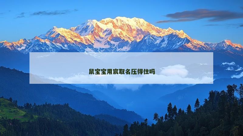 鼠宝宝用宸取名压得住吗