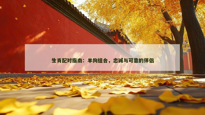 生肖配对指南：羊狗组合，忠诚与可靠的伴侣
