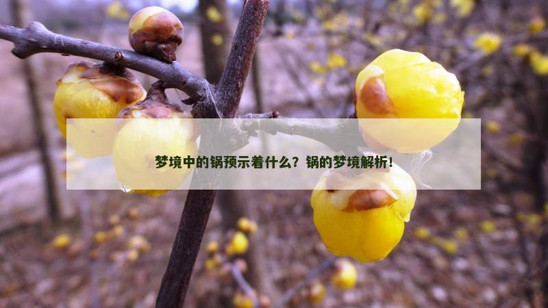 梦境中的锅预示着什么？锅的梦境解析！