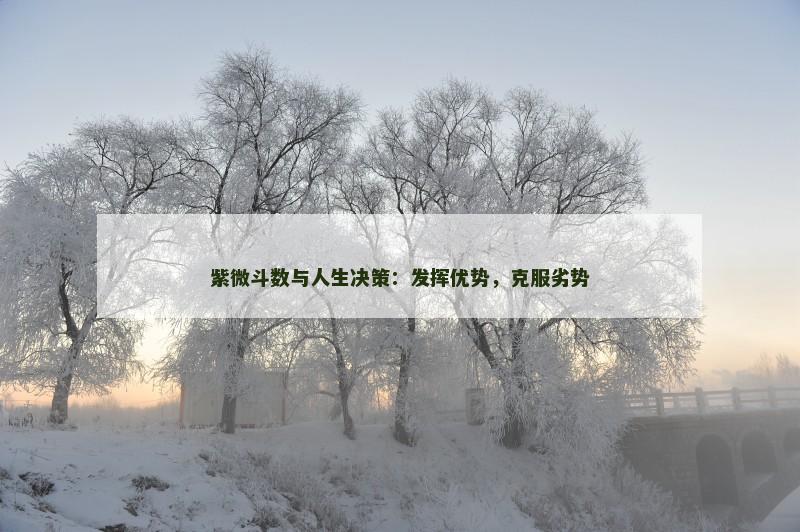 紫微斗数与人生决策：发挥优势，克服劣势