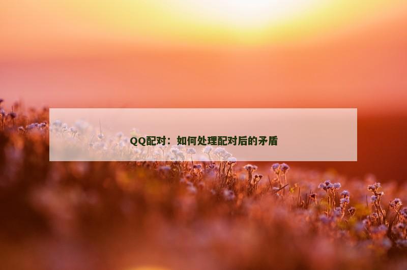 QQ配对：如何处理配对后的矛盾