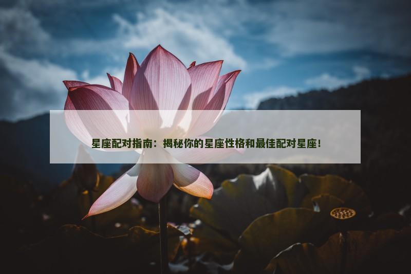 星座配对指南：揭秘你的星座性格和最佳配对星座！