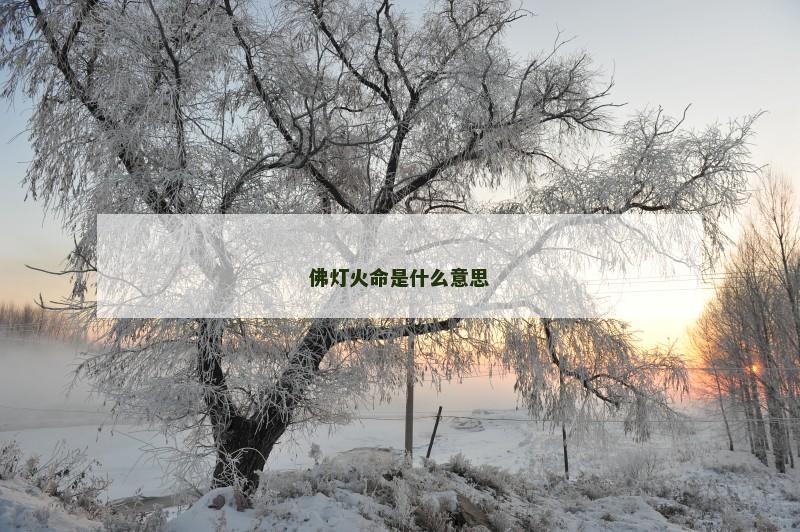 佛灯火命是什么意思