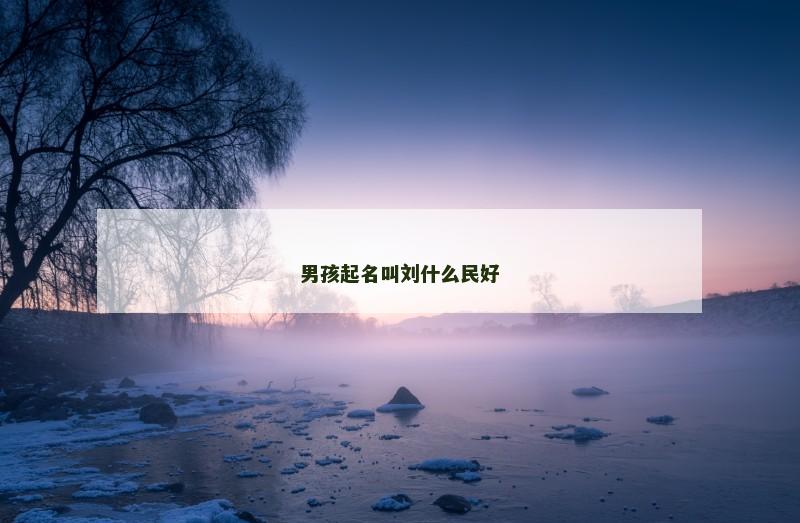 男孩起名叫刘什么民好