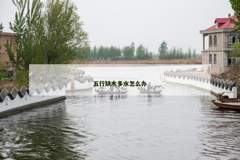 五行缺木多水怎么办