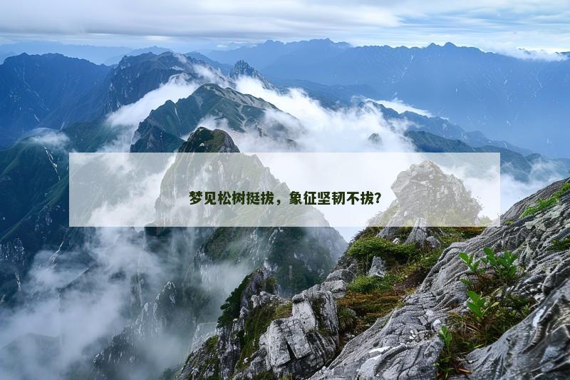 梦见松树挺拔，象征坚韧不拔？