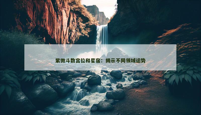 紫微斗数宫位和星宿：揭示不同领域运势