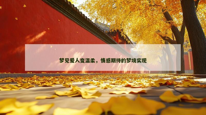 梦见爱人变温柔，情感期待的梦境实现