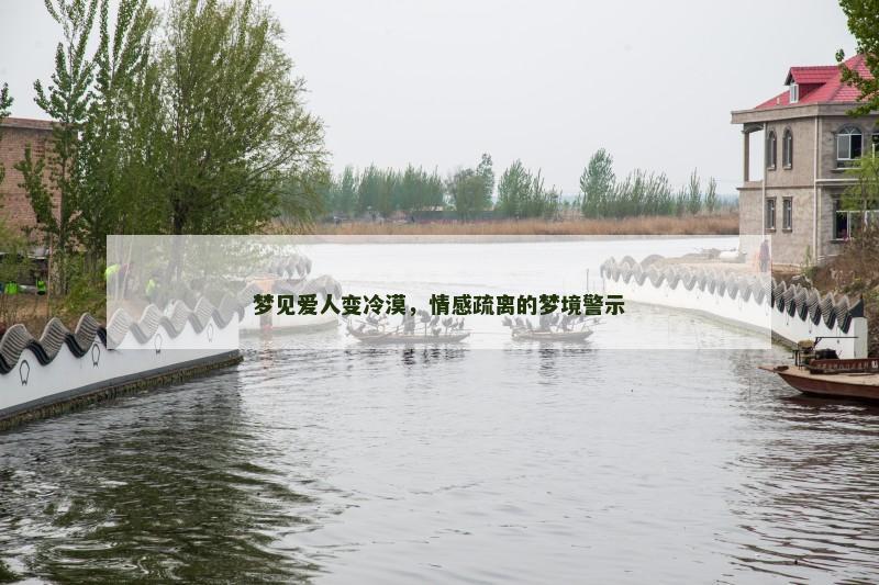 梦见爱人变冷漠，情感疏离的梦境警示