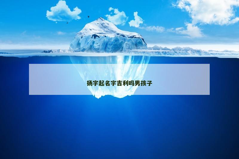扬字起名字吉利吗男孩子