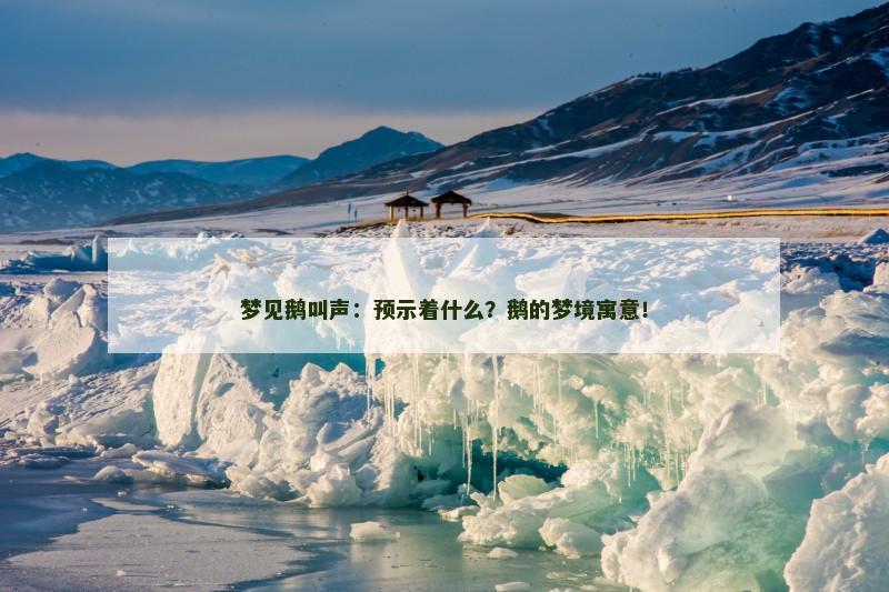 梦见鹅叫声：预示着什么？鹅的梦境寓意！