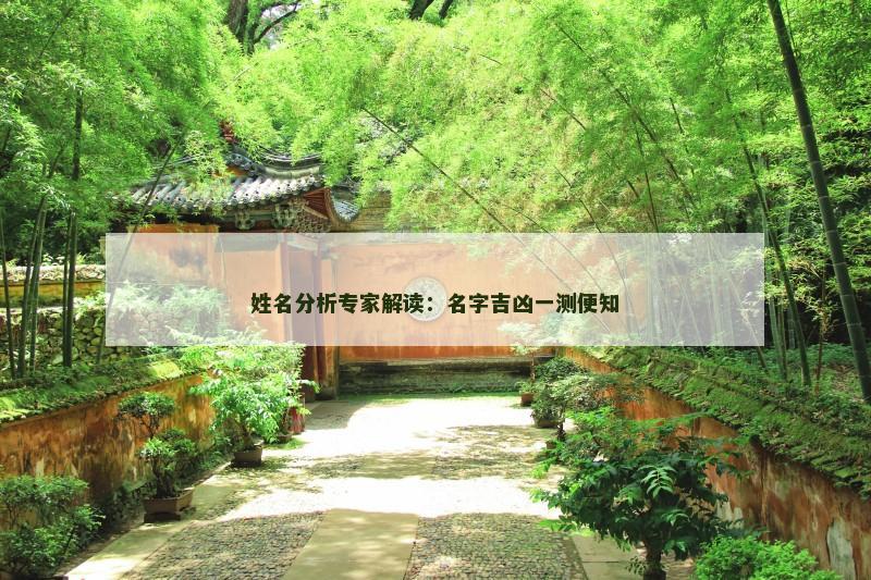 姓名分析专家解读：名字吉凶一测便知