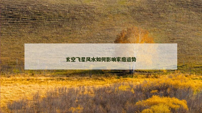 玄空飞星风水如何影响家庭运势