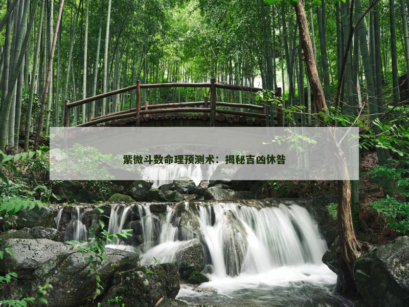 紫微斗数命理预测术：揭秘吉凶休咎