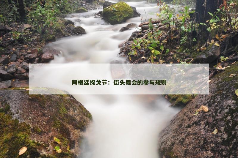 阿根廷探戈节：街头舞会的参与规则