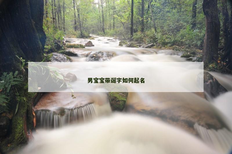 男宝宝带诞字如何起名