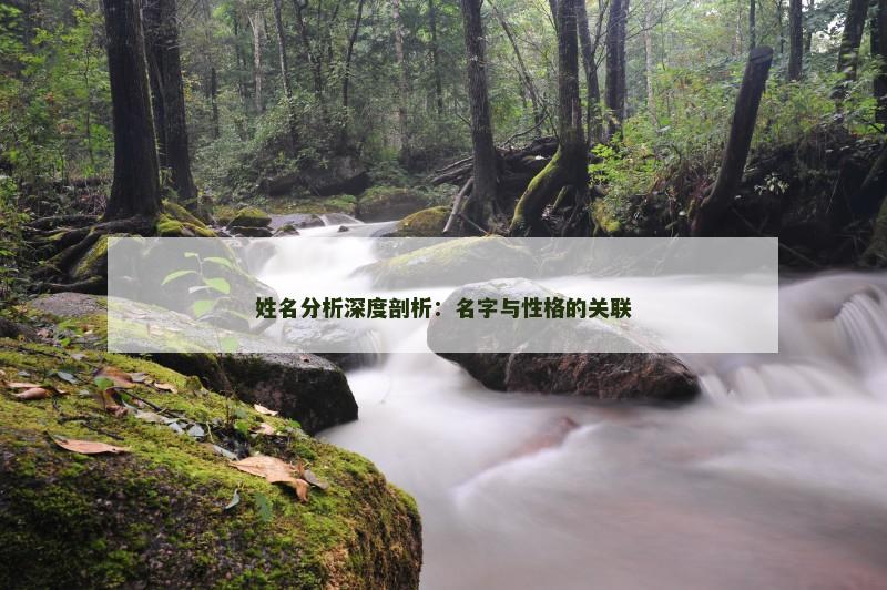 姓名分析深度剖析：名字与性格的关联