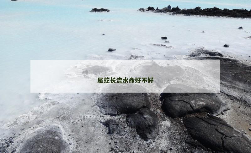 属蛇长流水命好不好