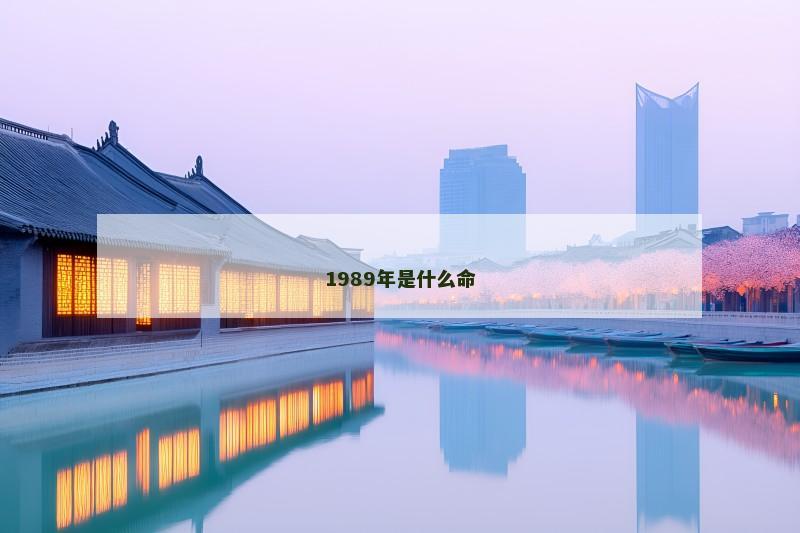 1989年是什么命
