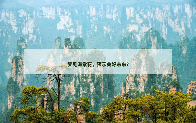 梦见海棠花，预示美好未来？
