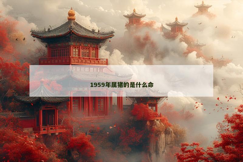 1959年属猪的是什么命