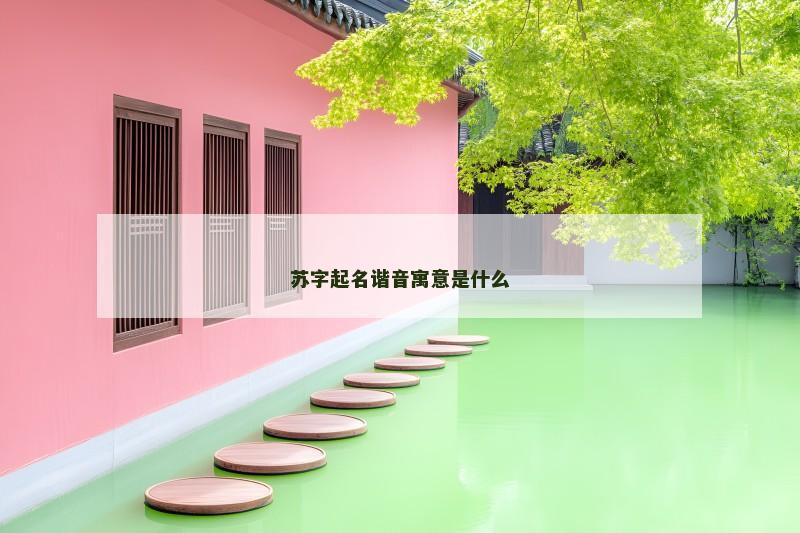 苏字起名谐音寓意是什么