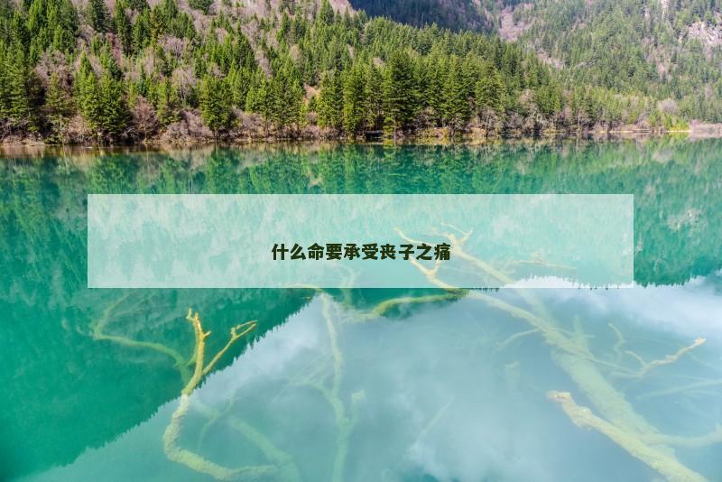 什么命要承受丧子之痛