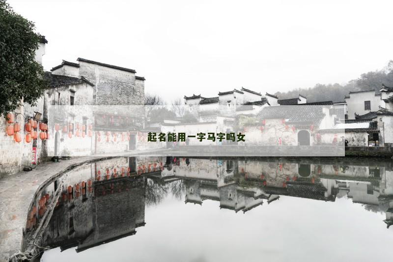 起名能用一字马字吗女