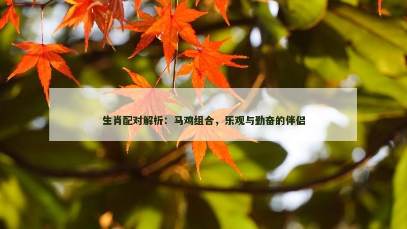 生肖配对解析：马鸡组合，乐观与勤奋的伴侣
