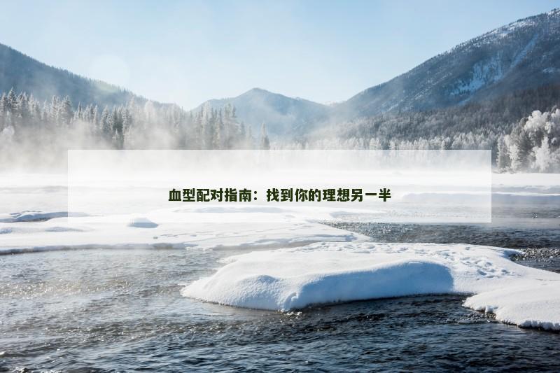 血型配对指南：找到你的理想另一半