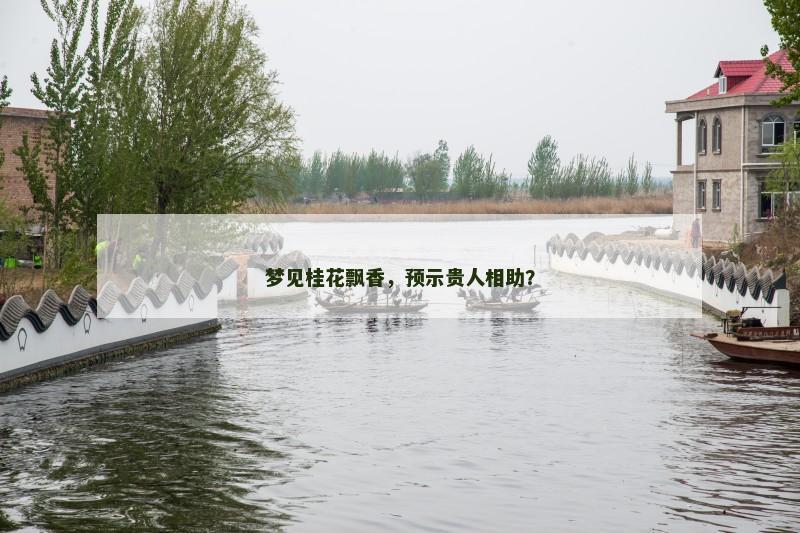 梦见桂花飘香，预示贵人相助？