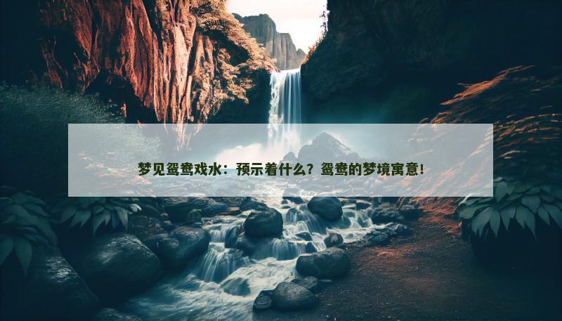 梦见鸳鸯戏水：预示着什么？鸳鸯的梦境寓意！