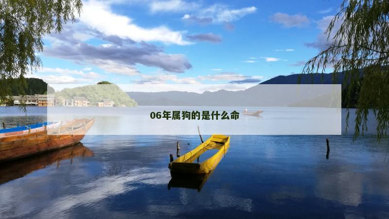 06年属狗的是什么命
